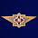 Знак ФСИН Мастер 1