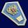 Знак Об окончании педагогического ССУЗа РФ 2