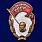 Знак Крепи оборону СССР в бархатистом футляре (муляж) 6