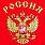 Футболка Россия с гербом (Красная) 3