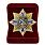 Медаль в бархатистом футляре Знак Морской пехоты 2