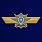 Знак в бархатистом футляре МО РФ Классная квалификация 6