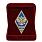 Знак в бархатистом футляре об окончании Общевойсковой академии Вооружённых сил России 2
