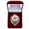 Знак в бархатистом футляре Отличник ВВС 1