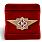 Знак в бархатистом футляре ФСИН Мастер 3