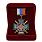 Знак в бархатистом футляре За службу России (зелёный) 3