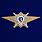Знак в бархатистом футляре Специалист 3-го класса МО РФ Классная квалификация 6