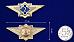 Знак в бархатистом футляре ФСИН Специалист 2 класса 7