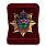 Знак в бархатистом футляре Звезда ВДВ  3
