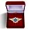 Знак в бархатистом футляре ФСИН Специалист 2 класса 1