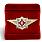 Знак в бархатистом футляре ФСИН Специалист 1 класса 2