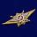 Знак Росгвардии Классная квалификация Мастер 2