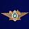 Знак в бархатистом футляре ФТС  Мастер 6