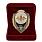 Знак в бархатистом футляре Отличник РЭБ 2