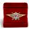 Знак в бархатистом футляре Росгвардии Классная квалификация Мастер (специалист 3-го класса) 2