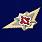 Знак в бархатистом футляре ФСИН Специалист 1 класса 6