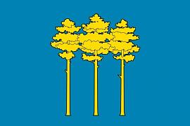 Флаг Димитровграда Ульяновской области