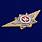 Знак классного специалиста МВД России (Мастер) 2