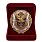 Знак в бархатистом футляре Полоцкий пограничный отряд Беларусь 2