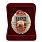 Знак в бархатистом футляре 35 ОСН Русь 2