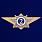 Знак классного специалиста МВД России (специалист 2-го класса) 1