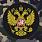 Милитари шорты с шевроном герб РФ 5