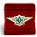 Знак в бархатистом футляре ФСИН Специалист 3 класса 2