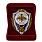 Знак в бархатистом футляре Отличник РВСН 2