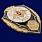 Знак Отличник РХБЗ 2