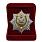 Знак в бархатистом футляре Пограничная служба Республики Беларусь 2
