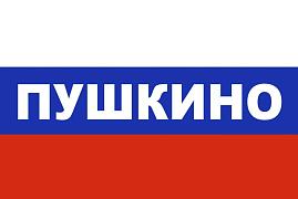 Флаг триколор Пушкино