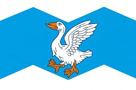 Флаг Шадринского района Курганской области