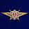 Знак Росгвардии Классная квалификация Мастер (специалист 2-го класса) 1