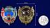 Знак в бархатистом футляре КДПО ДШМГ Пограничный десант 8