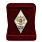 Знак в бархатистом футляре об окончании ВУНЦ СВ Общевойсковая академия Вооружённых Сил РФ 2