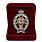 Знак в бархатистом футляре МВД Лучший дознаватель 3