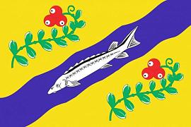 Флаг Нюксенского района Вологодской области