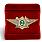 Знак в бархатистом футляре ФТС  Специалист 2 класса 2