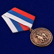 Казачья медаль За казачью волю