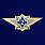 Знак ФСИН Специалист 2 класса 1