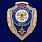 Знак Отличник МЧС 1