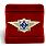 Знак в бархатистом футляре ФСИН Специалист 2 класса 2