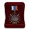 Знак в бархатистом футляре За службу России (красный) 3