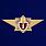 Знак Классный специалист МЧС 1-го класса 1
