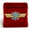 Знак в бархатистом футляре МО РФ Классная квалификация 2
