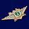 Знак в бархатистом футляре ФТС  Специалист 2 класса 6
