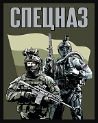 Полевой шеврон Спецназ (10х8см)