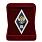Знак в бархатистом футляре Об окончании гуманитарного ВУЗа РФ 2