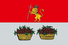Флаг Юрьев-Польского района Владимирской области