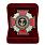 Медаль в бархатистом футляре Нагрудный знак Морская пехота России 2